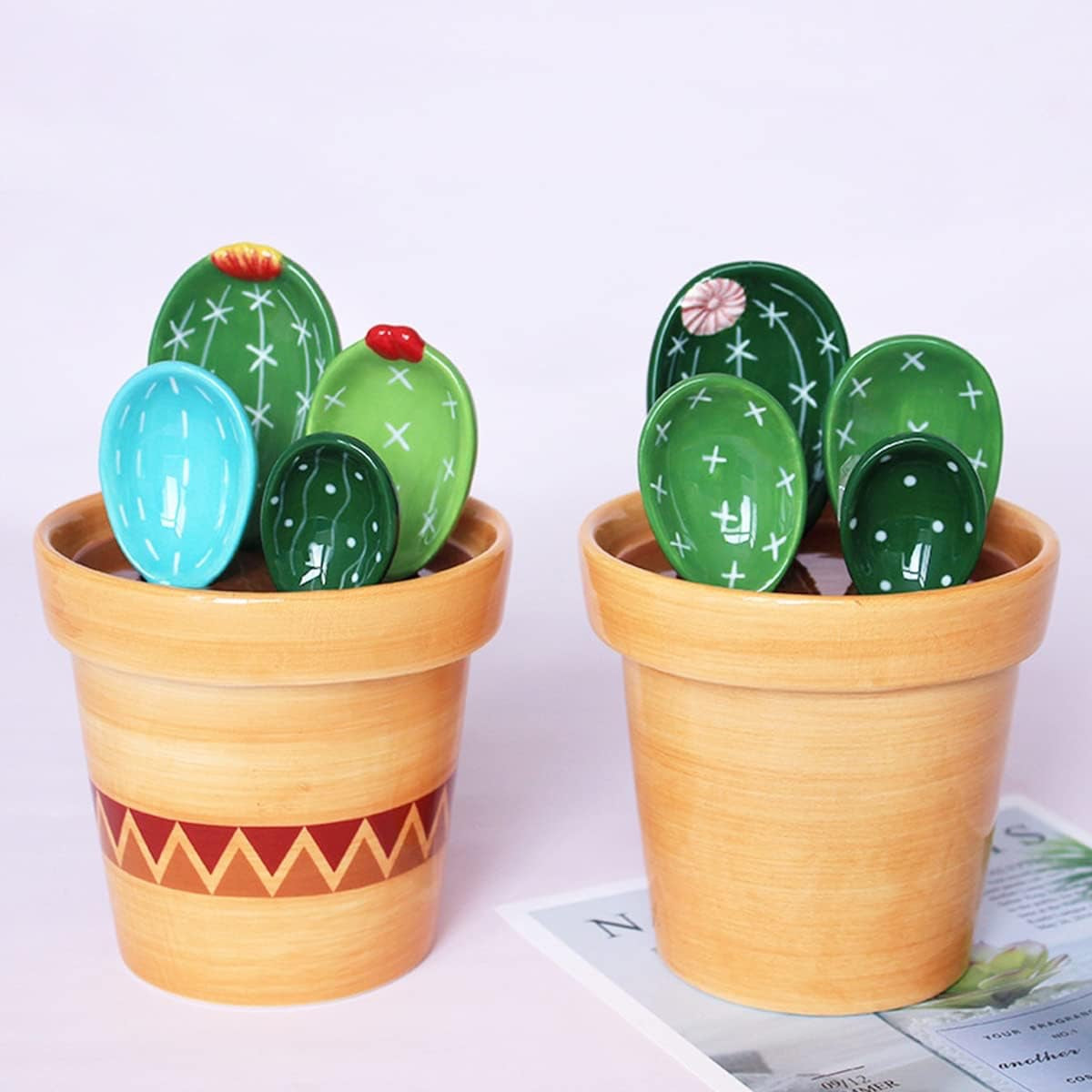 Cacti Measuring Set